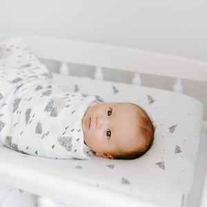 aden-anais-essentials-swaddle-briar-rose-mussola-4pz image 5
