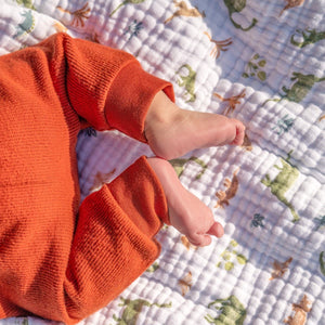 aden-anais-essentials-coperta-neonato-in-mussola-di-cotone-dino-jungle image 3