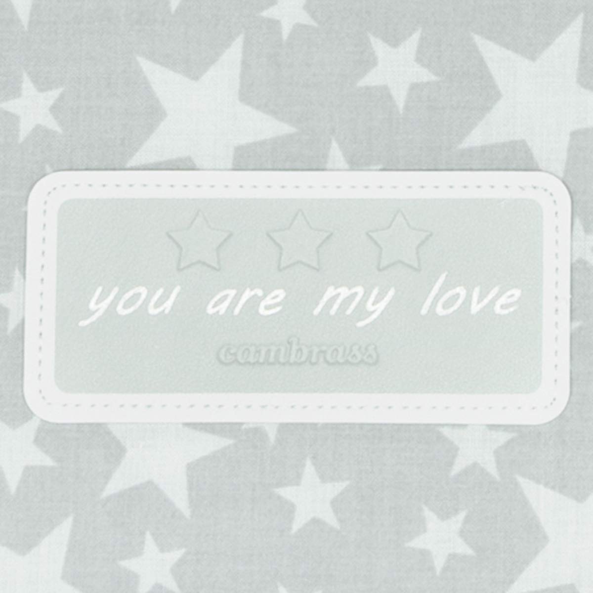 cambrass-35481-borsa-valigia-star-gray image 4