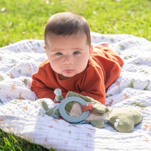 aden-anais-essentials-coperta-neonato-in-mussola-di-cotone-dino-jungle image 4