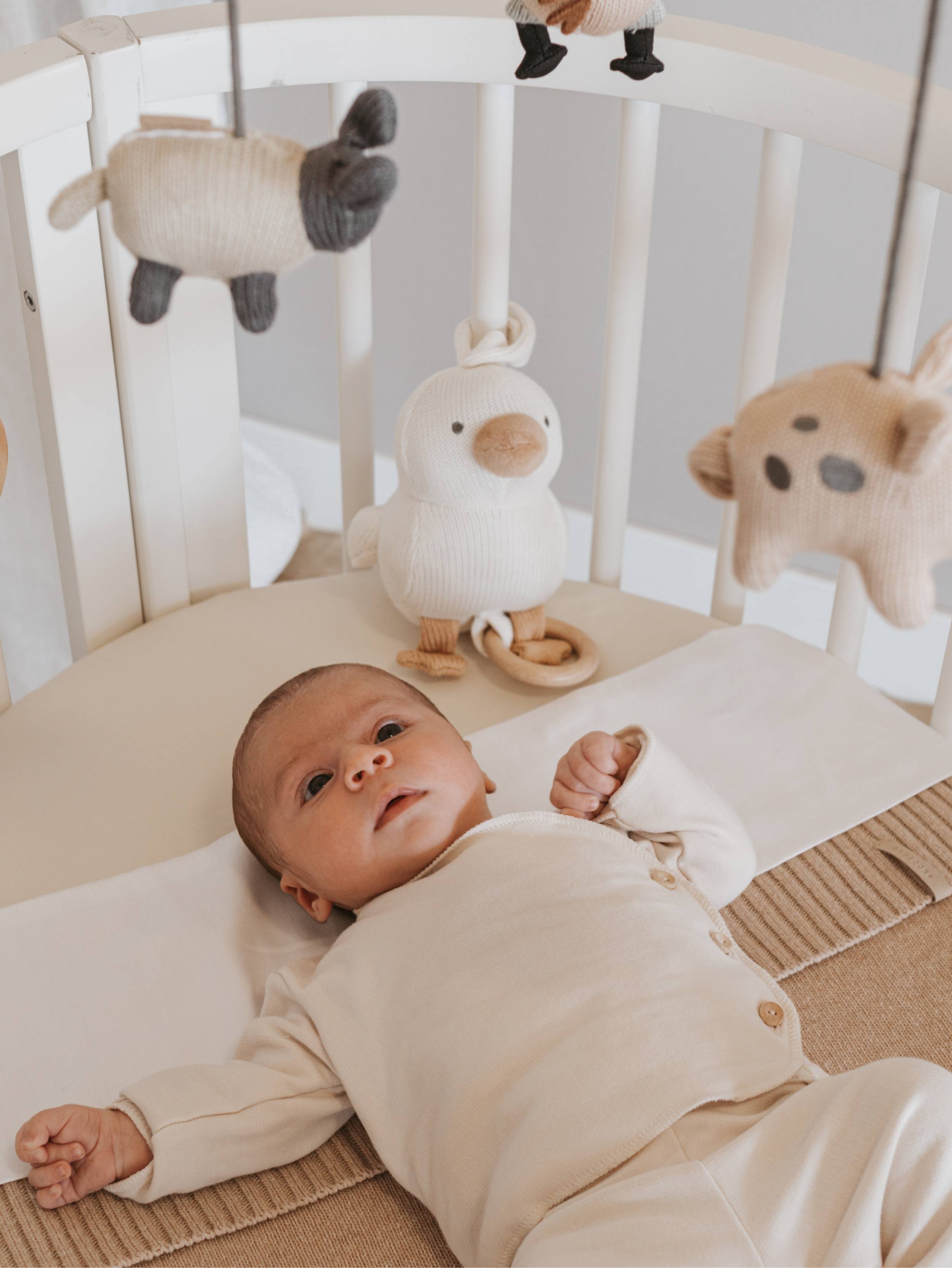 bamboom-music-toy-duck-warm-white-128 image 5