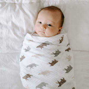 aden-anais-essentials-swaddle-briar-rose-mussola-4pz image 3