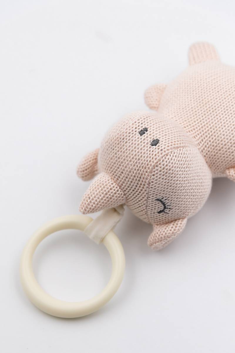 bamboom-pull-shake-toy-rino-rosa-04 image 3